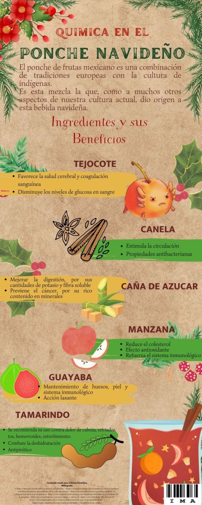 ponche navideno _ ingrid martinez alvarez